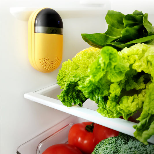 Ozone Deodorizer for Refrigerator